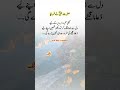 #shorts#islamicvideo#islamiccontent #pleasesubscribe #trending