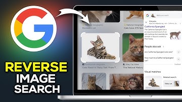 How To Reverse Image Search On Google - Easy Guide