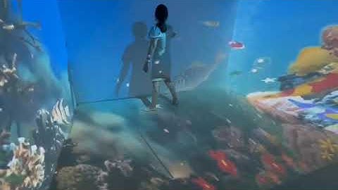 Defilabs Immersive projection software display 3 walls and 1 ground show