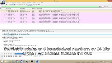 5.1.1.7 Lab - Using Wireshark to Examine Ethernet Frames