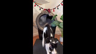 Avoid Messes this Holiday Season
