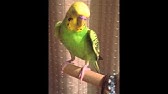 ワッキーの赤ちゃんが笑うてっぱん動画 すいっち Youtube ワッキーの赤ちゃんが笑うてっぱん動画 すいっち Youtube
