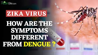 Zika Virus: How Are The Symptoms Different From Dengue | Zika Virus Updates