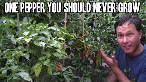 One Pepper You Should Never Grow in Your Home Garden