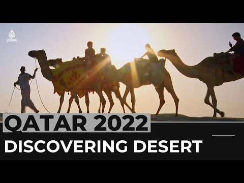 A desert adventure: exploring qatar during the tournament