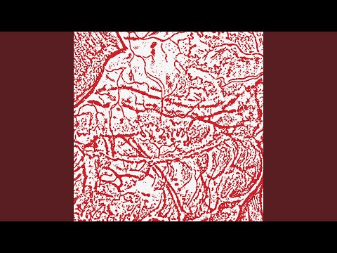 Materializing Defective Fascia/ 42 auf YouTube ansehen