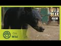 Grin and Bear It | Wild Bear Rescue S3E07 | Go Wild