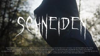 absent - SCHNEIDEN (OFFICIAL VIDEO | prod. by beatsbyfrost)