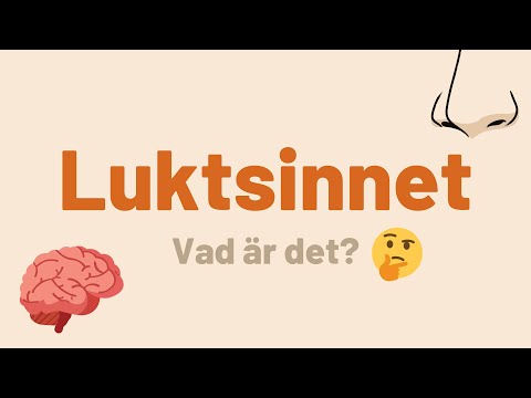 Luktsinnet