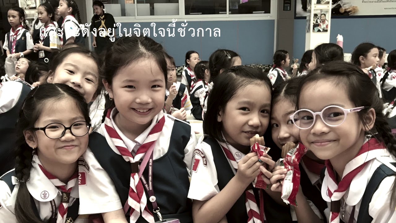 เพลง ร่มพิกุล