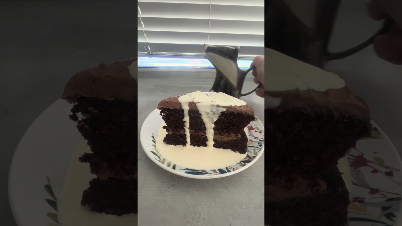 Ridiculously Moist Chocolate Cake! 😱🍫 #shorts #baking #recipe #chocolatecake