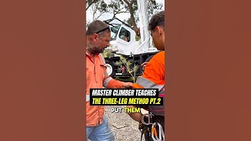 Master Climber Teaches the 3-legs Method Pt.2 #teaching #crane #arborist #treework