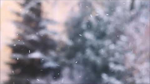 Free Background Video || Free Download || Snow Falling Down