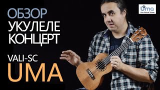 Обзор укулеле концерт UMA VALI-SC | Укулеле.ру