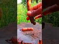 Satisfying Imli Cutting ASMR 🤎🔥 | Viral Tamarind Shorts 😍🔪#shorts#imli #tamarind #asmr #satisfying