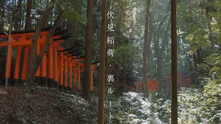 伏見稲荷大社の裏ルート : Deep Dive Into Fushimi Inari-taisha Shrine（Kyoto, Japan）