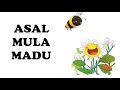 Asal mula madu - Dongeng Anak