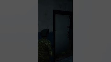 Using flash bangs in dayz #fail #dayzpvp #dayz #dayzgameplay