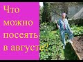 Что можно посеять в августе