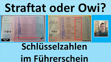 Was bedeuten die Zahlen 79 03 79 04 auf dem Führerschein?