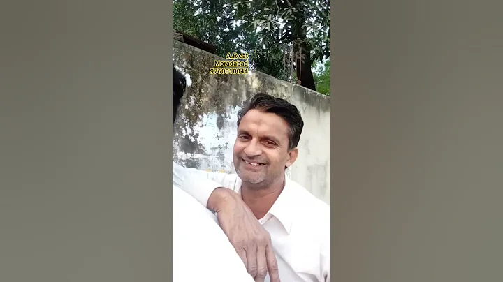 Video 11570731: himalayan persian cat, himalayan cat pets