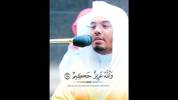 وَالسَّارِقُ وَالسَّارِقَةُ فَاقْطَعُوا ~ تلاوة بياتية جميلة تريح النفس للشيخ ياسر الدوسري 😴🤍