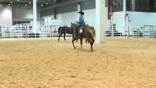 Dog, horse help teen diagnosed with epilepsy compete in Houston Rodeo