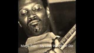 Magic Sam-My Love Will Never Die chords