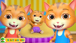 five little kittens learn to count 5 with rhyme kids song