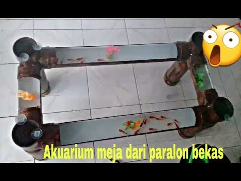  Aquarium  meja  dari  paralon  Yansuken life YouTube