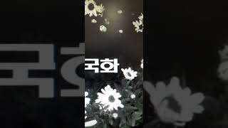 💟 사랑한 후에 (After the Love Has Gone)~ 전인권(들국화) 💚🧡파악하려는 노력이 있다면ㆍ 그대는 아직 지견을 얻은 것이 아니다 💛괴로움과 괴로움의 소멸~집착×