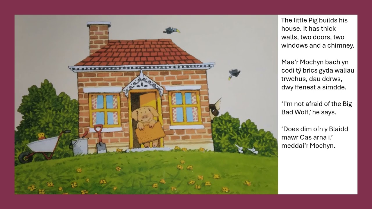 Welsh bilingual reading of Y Tri Mochyn Bach - NDNA Cymru