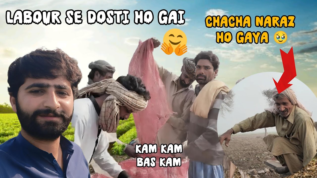 AJ labour k sath full gup shup lgai 🥰 | village life | potatoes digging 🪏