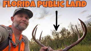 HUNTING FLORIDA PUBLIC LAND | Muzzleloader Buck and Doe Tags Filled!