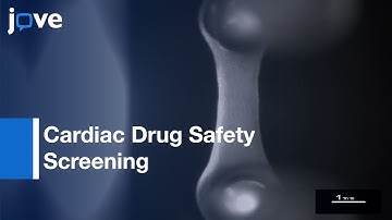 Automated Contraction Analysis Of Human Engineered Heart Tissue l Protocol Preview