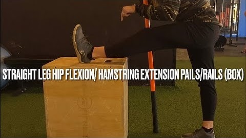 Straight leg hip flexion/ hamstring extension pails/rails (box)