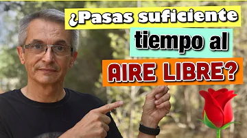 ¿Cuánto tiempo deben pasar los adultos al aire libre cada día?