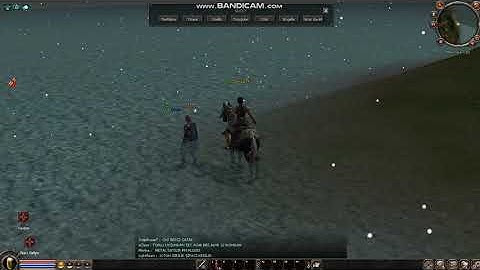 METİN2 BALIK BOTU 6