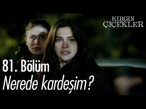 Nerede kardeşim? - Kırgın Çiçekler 81. Bölüm - atv