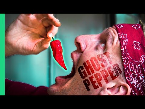 spicy-indian-food-challenge!-ghost-pepper-chutney-and-the-spiciest-street-food-in-delhi,-india!