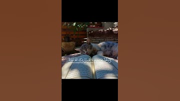 سورة التوبة #قرآن #اكسبلور #قرآن_كريم #راحة_نفسية #تلاوة_خاشعة