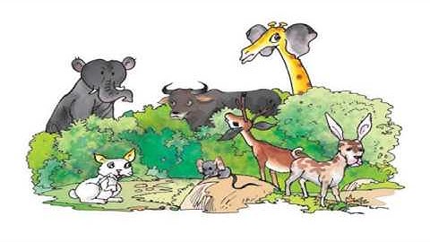 NCERT CLASS 4 EVS CHAPTER  2 EAR TO EAR PART- 1