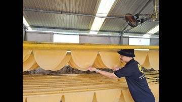 Về Năm Căn - Cà Mau thăm làng nghề làm Bánh Phồng Tôm nổi tiếng