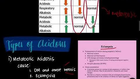 BIO024: LECTURE MODULE 3