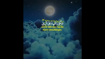 حالات واتس اب دينيه عراقية 🎧 القارئ عامر الكاظمي ماتيسرة من سورة الزمر آية 5