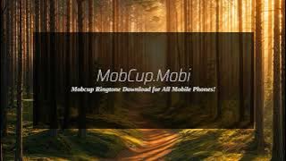 Nokia Tin Can Ringtone