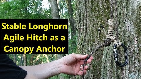 Stabiele Longhorn Agile Hitch als luifelanker