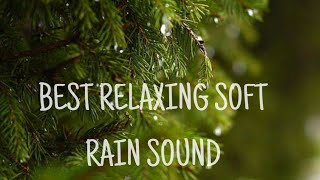 BEST SOFT RAIN SOUND FOR YOUR SLEEP, RELAXING RAIN SOUND screenshot 2
