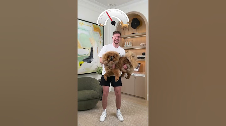 Holding Bigger and Bigger Dogs #shorts