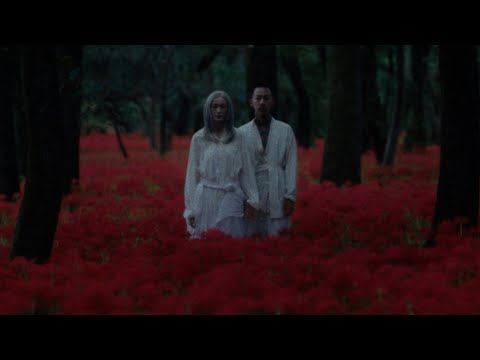 千葉雄喜 (Yuki Chiba) ー 幸せってなに？ (Shiawasettenani?) [Official Music Video]